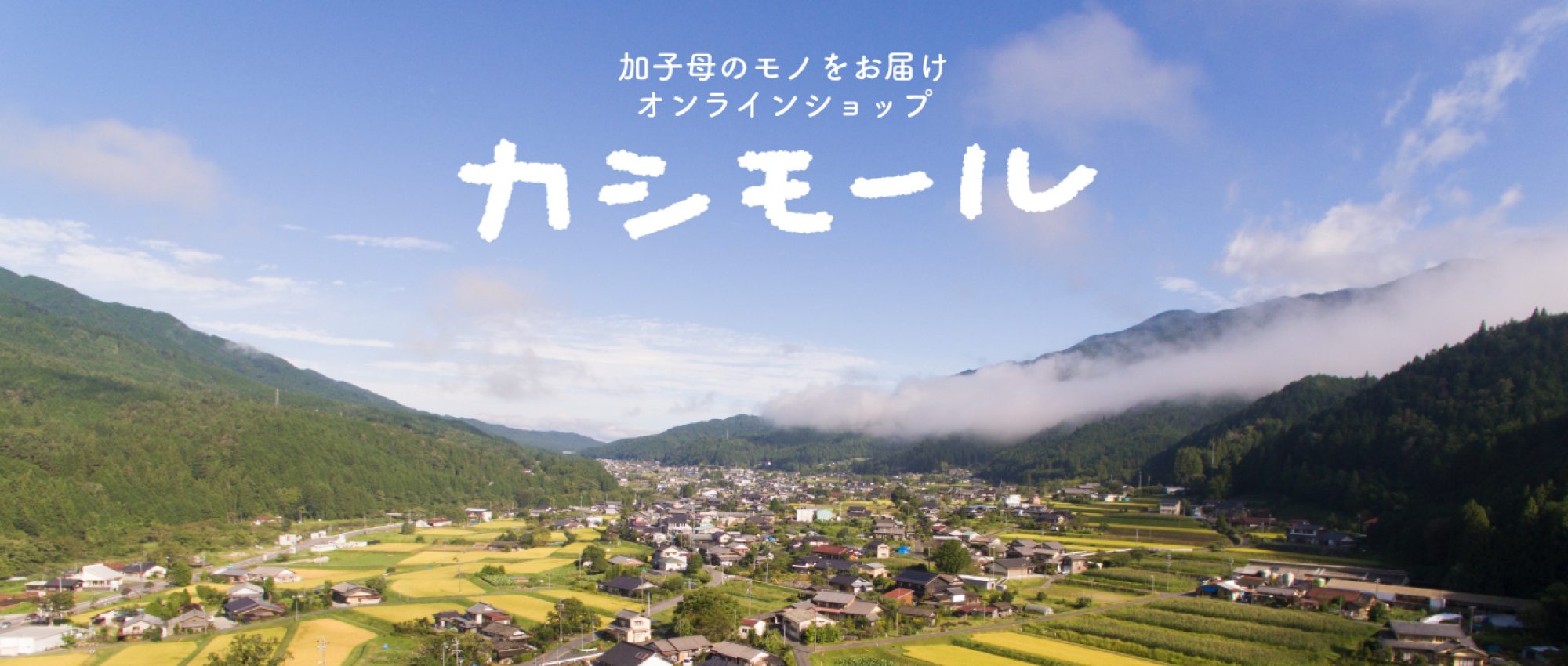 カシモール